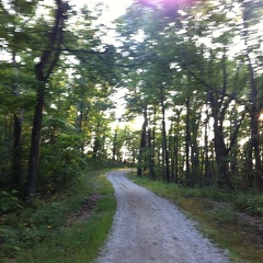 Auxier Ridge, a year after the fire